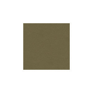 Iva Mushroom by Kravet Design Fabric