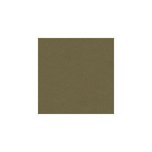 Iva Mushroom by Kravet Design Fabric