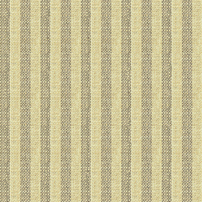 Kravet Basics 34080-1611 by Kravet Basics Fabric