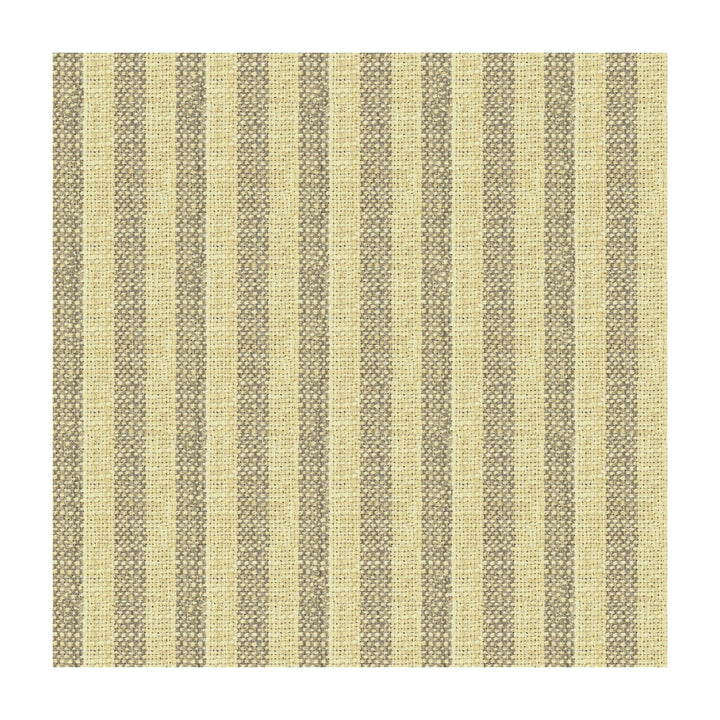 34080-1611 by Kravet Basics Fabric - POLYESTER - 100% India HEAVY Horizontal: 1 and Vertical: 0 54 - Fabric Carolina -