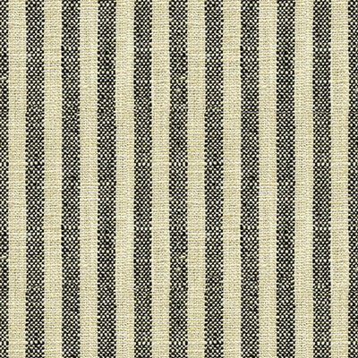 Kravet Basics 34080-81 by Kravet Basics Fabric