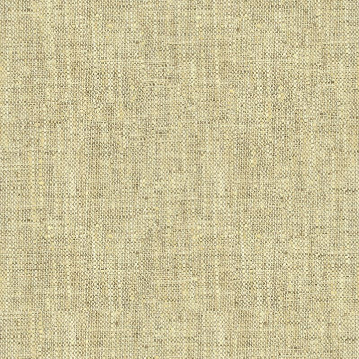 34083.1611 by Kravet Basics Designer Fabric in our sample Polyester 100% India Heavy Horizontal: See Sample and Vertical: See Sample 54 inches - Swanky Fabrics -