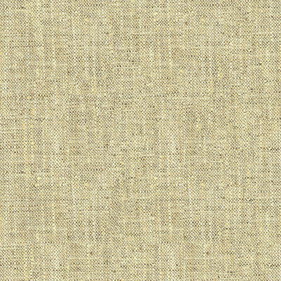 Kravet Basics 34083-1611 by Kravet Basics Fabric