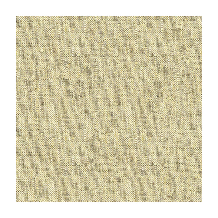 34083-1611 by Kravet Basics Fabric - POLYESTER - 100% India HEAVY Horizontal: - and Vertical: - 54 - Fabric Carolina -