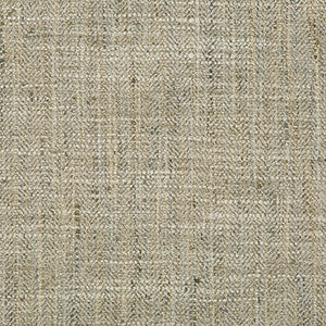 Kravet Basics 34088-1116 by Kravet Basics Fabric