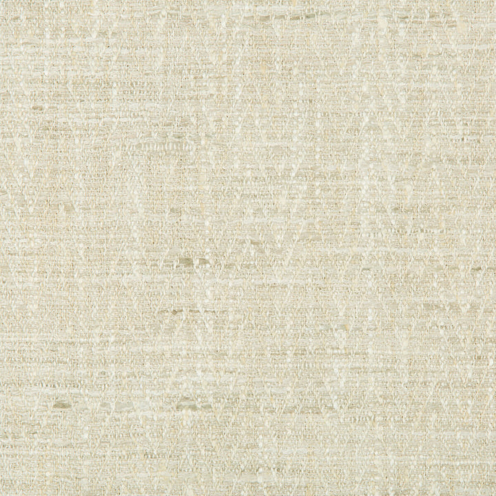 34092-111 by Kravet Basics Fabric - POLYESTER - 100% India HEAVY Horizontal: 0.75 and Vertical: 0.5 54 - Fabric Carolina -
