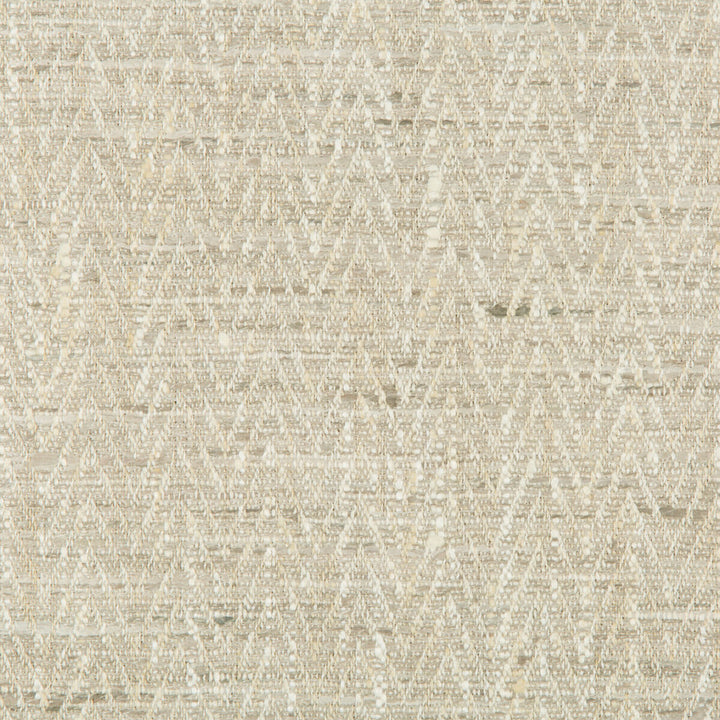 34092-11 by Kravet Basics Fabric - POLYESTER - 100% India HEAVY Horizontal: 0.75 and Vertical: 0.5 54 - Fabric Carolina -