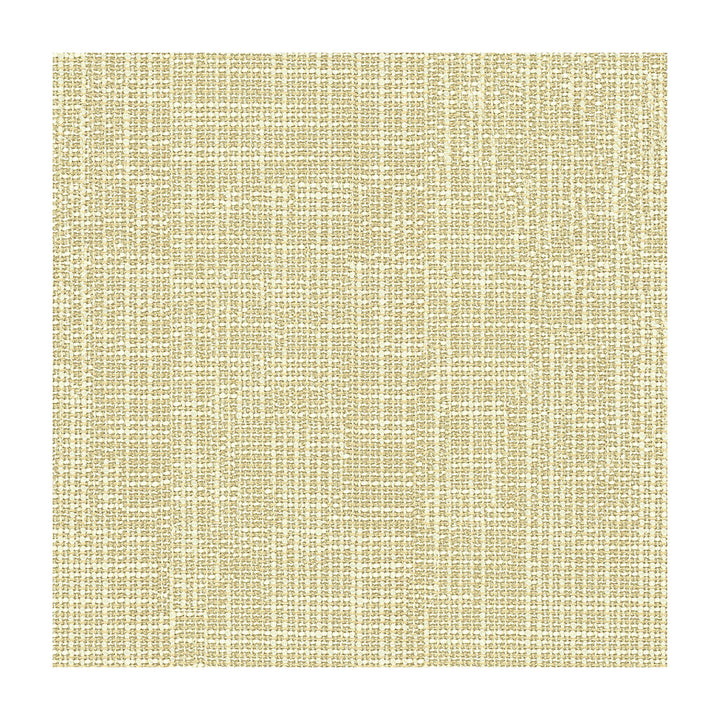 Delancy Oat by Kravet Contract Fabric CRYPTON INCASE POLYESTER - 59%;ACRYLIC - 41% Turkey HEAVY Horizontal: and Vertical: 54 - Fabric Carolina -
