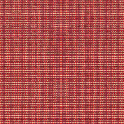 Delancy Berry by Kravet Contract Fabric
