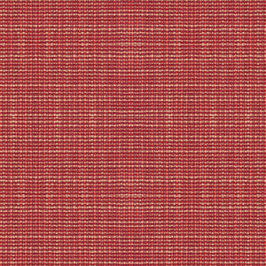 Delancy Berry by Kravet Contract Fabric