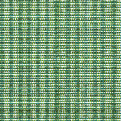 Delancy Jungle by Kravet Contract Fabric