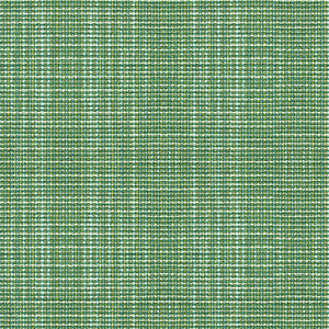 Delancy Jungle by Kravet Contract Fabric