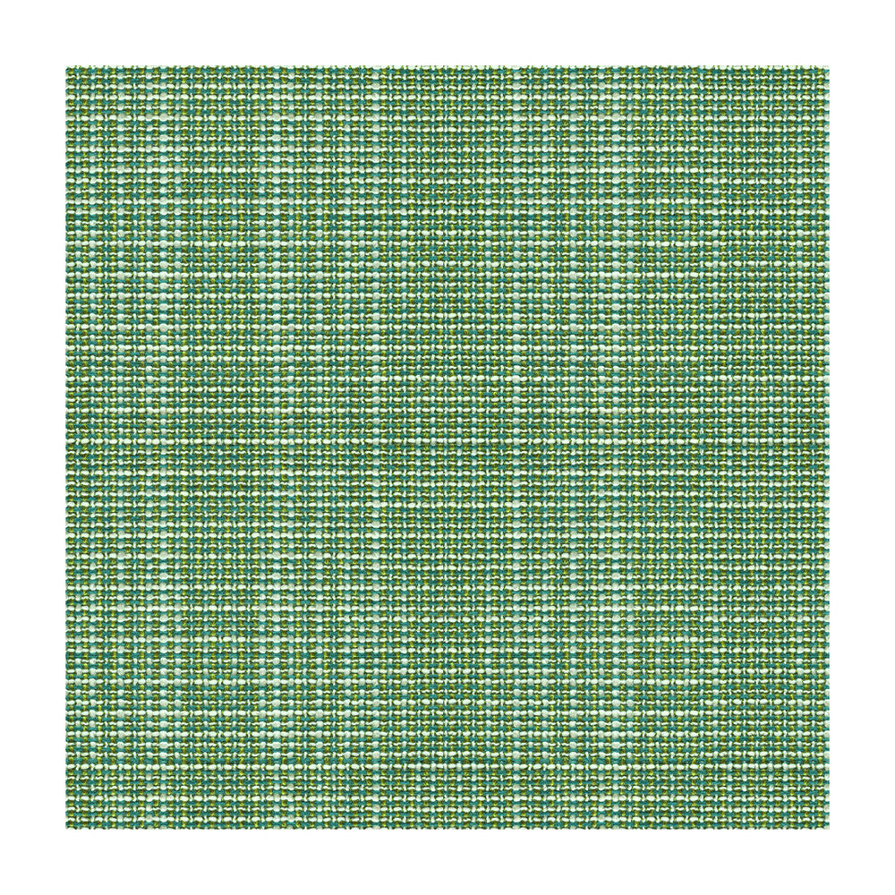Delancy Jungle by Kravet Contract Fabric CRYPTON INCASE POLYESTER - 59%;ACRYLIC - 41% Turkey HEAVY Horizontal: - and Vertical: - 54 - Fabric Carolina -