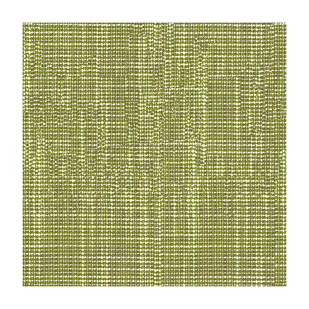 Delancy Basil by Kravet Contract Fabric CRYPTON INCASE POLYESTER - 59%;ACRYLIC - 41% Turkey HEAVY Horizontal: - and Vertical: - 54 - Fabric Carolina -
