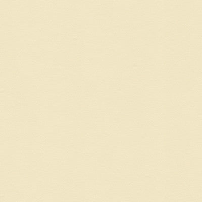 Suede Texture Bisque by Kravet Couture Fabric