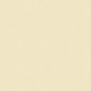 Suede Texture Bisque by Kravet Couture Fabric