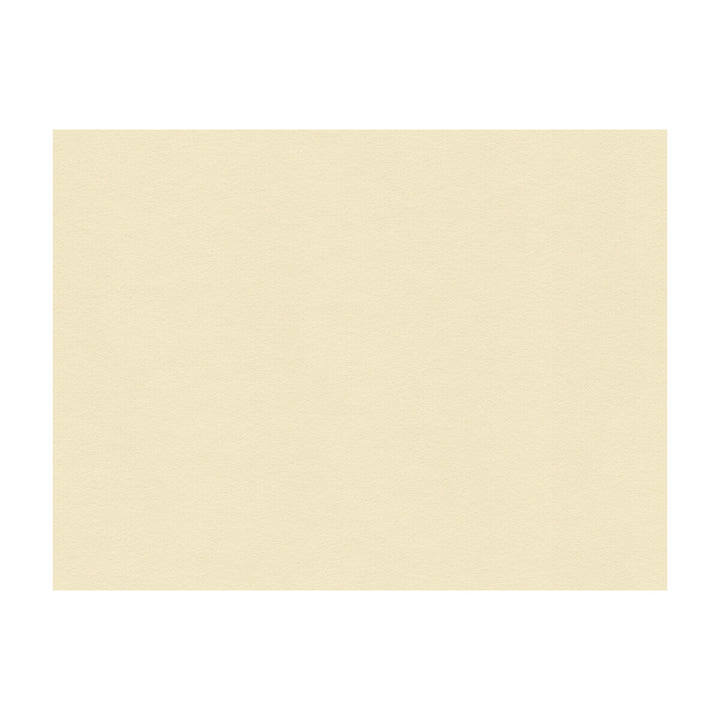 Suede Texture Bisque by Kravet Couture Fabric Kravet Couture Fabric Suede Texture BisqueFabric JAN SHOWERS GLAMOROUS RECYCLED POLYESTER - 80%;POLYURETHANE - 20% Japan </p><p>Repeat: H: , V: 55 - Fabric Carolina -