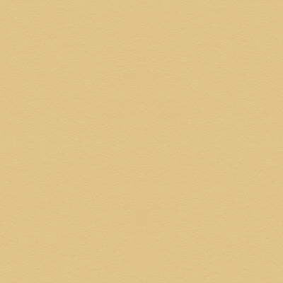 Suede Texture Chamios by Kravet Couture Fabric
