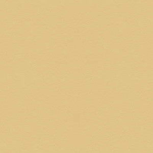 Suede Texture Chamios by Kravet Couture Fabric