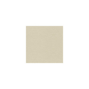 Suede Texture Stone by Kravet Fabric