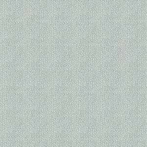 Keenan Vapor by Kravet Design Fabric