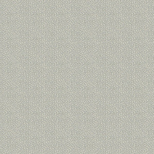 Keenan Pebble by Kravet Design Fabric
