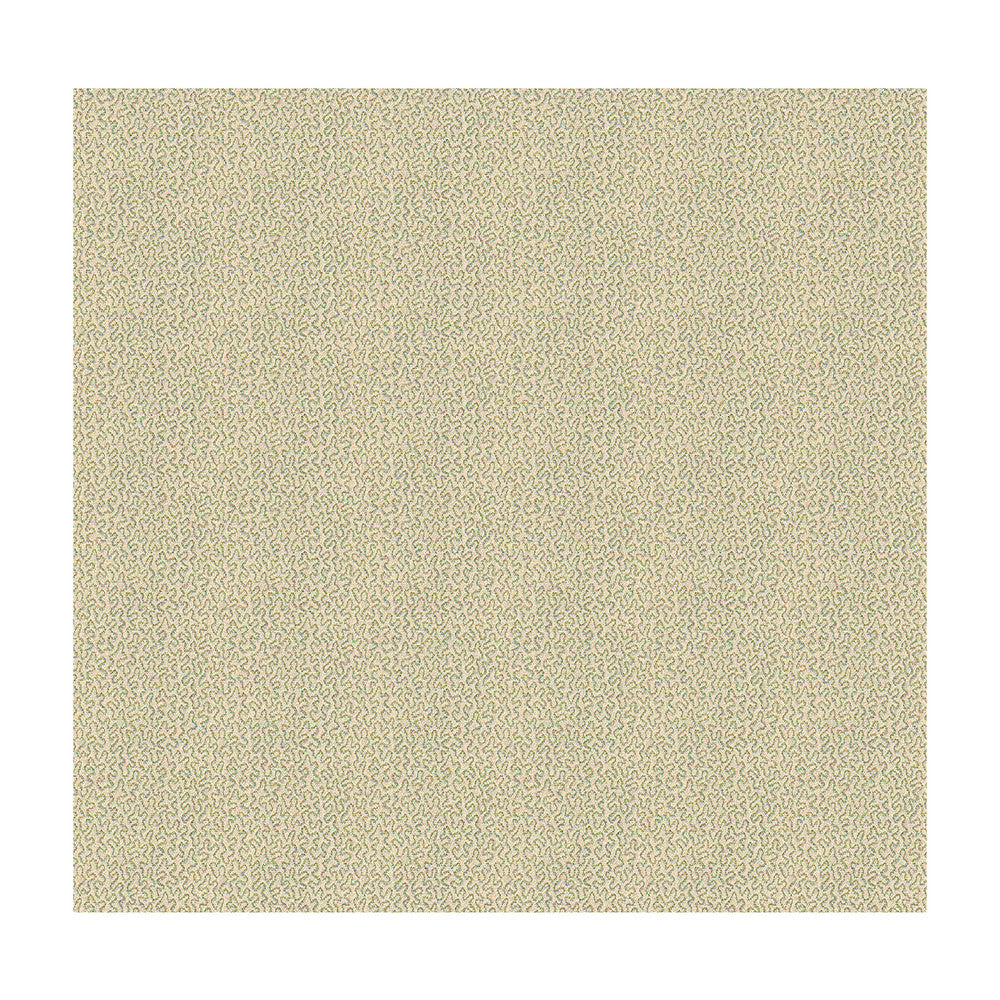 Keenan Shell by Kravet Design Fabric CANDICE OLSON COLLECTION POLYESTER - 60%;OLEFIN - 40% United States HEAVY Horizontal: 5 and Vertical: 4.5 55 - Fabric Carolina -