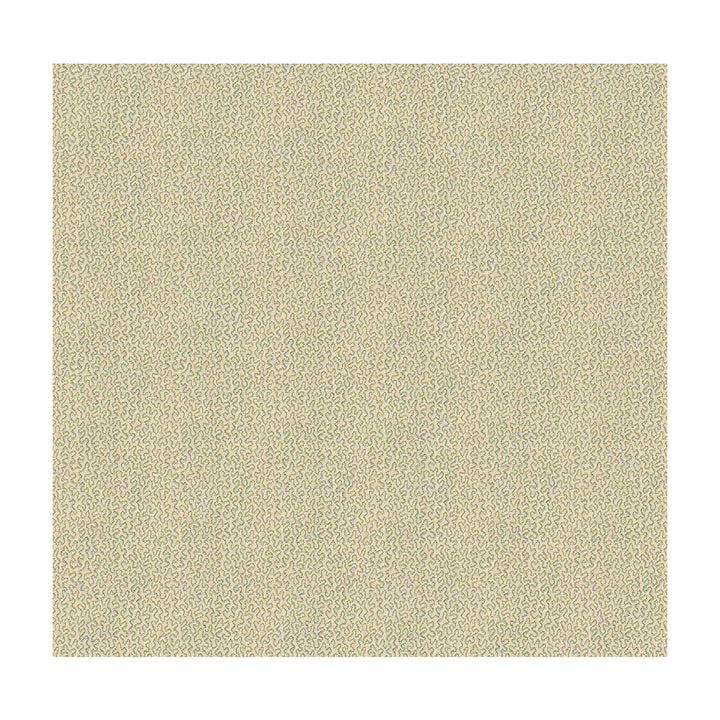 Keenan Shell by Kravet Design Fabric CANDICE OLSON COLLECTION POLYESTER - 60%;OLEFIN - 40% United States HEAVY Horizontal: 5 and Vertical: 4.5 55 - Fabric Carolina -