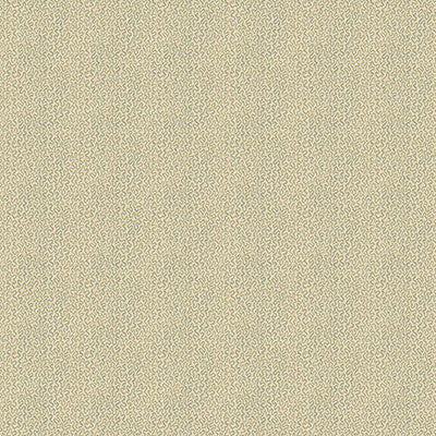 Keenan Shell by Kravet Design Fabric