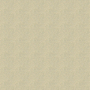 Keenan Shell by Kravet Design Fabric