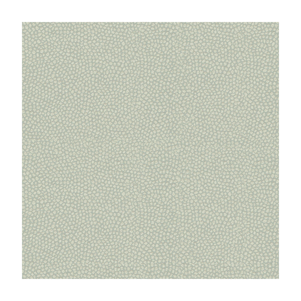 Brecken Spa by Kravet Design Fabric CANDICE OLSON COLLECTION RAYON - 78%;POLYESTER - 22% United States HEAVY Horizontal: 9 and Vertical: 8.5 55 - Fabric Carolina -