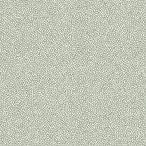 Brecken Spa by Kravet Design Fabric