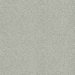 Brecken Vapor by Kravet Design Fabric