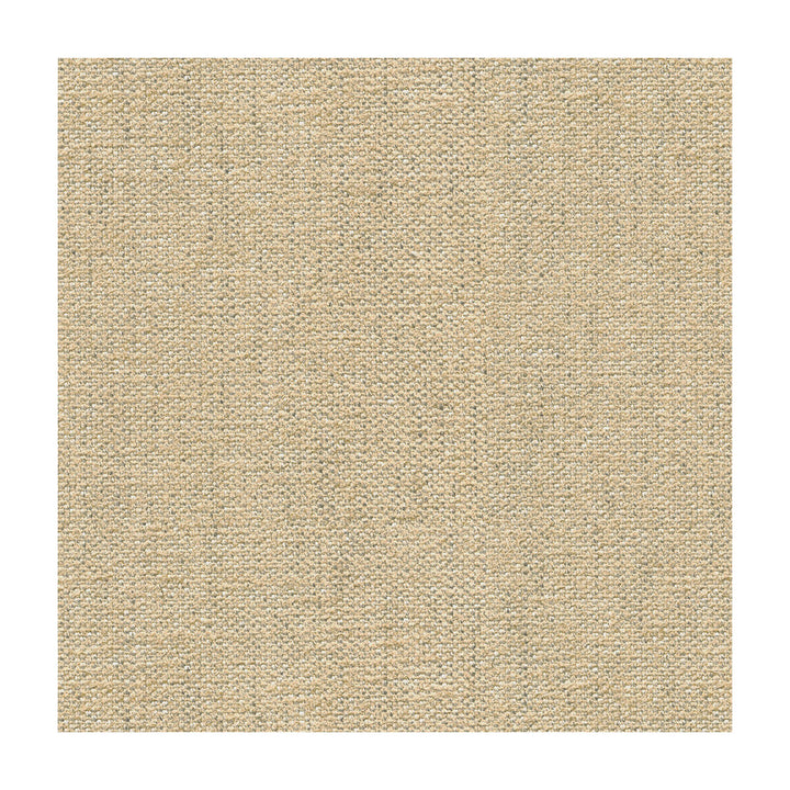 Briggs Linen by Kravet Design Designer Fabric CANDICE OLSON COLLECTION VISCOSE - 58%;POLYESTER - 30%;LINEN - 12% Italy MEDIUM Horizontal: and Vertical: 55 - Swanky Fabrics -