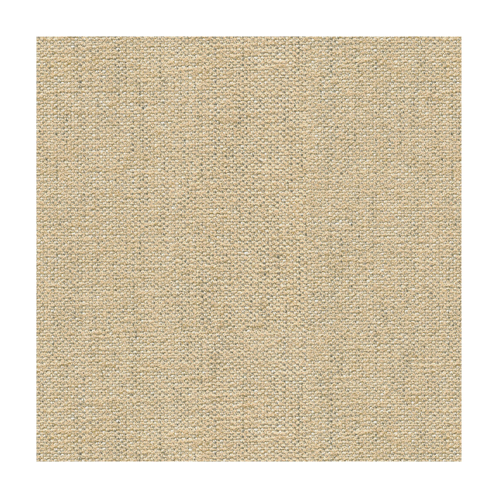 Briggs Linen by Kravet Design Designer Fabric CANDICE OLSON COLLECTION VISCOSE - 58%;POLYESTER - 30%;LINEN - 12% Italy MEDIUM Horizontal: - and Vertical: - 55 - Swanky Fabrics -