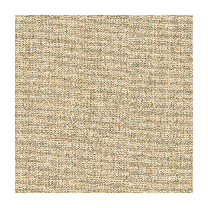 Briggs Linen by Kravet Design Fabric CANDICE OLSON COLLECTION VISCOSE - 58%;POLYESTER - 30%;LINEN - 12% Italy MEDIUM Horizontal: and Vertical: 55 - Fabric Carolina -