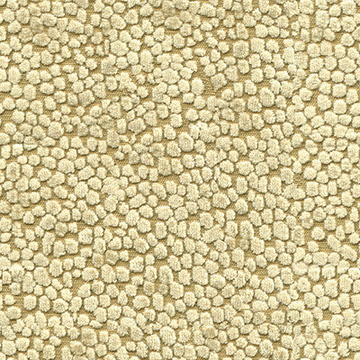 Kori Gold by Kravet Design Fabric