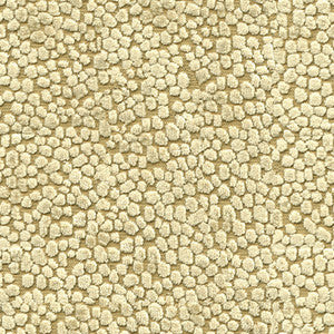 Kori Gold by Kravet Design Fabric