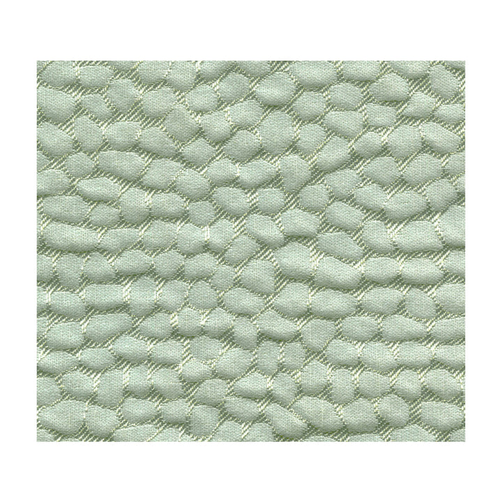 Tortugas Spa by Kravet Design Fabric CANDICE OLSON COLLECTION LINEN - 35%;VISCOSE - 30%;POLYESTER - 25%;ACRYLIC - 10% India - Horizontal: - and Vertical: - 54 - Fabric Carolina -
