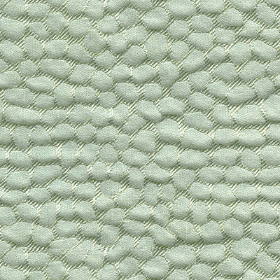 Tortugas Spa by Kravet Design Fabric