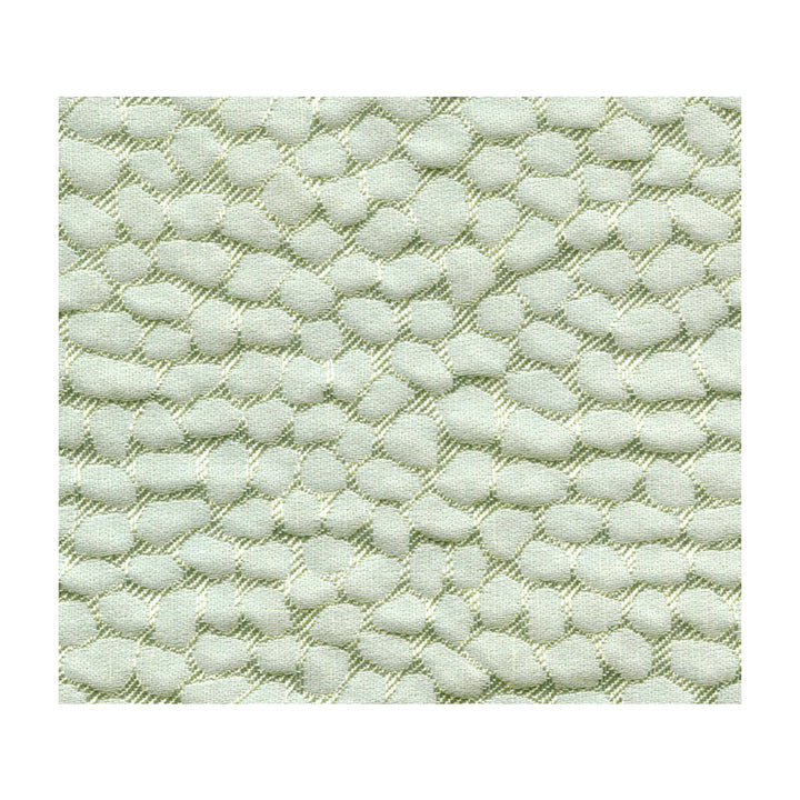 Tortugas Mineral by Kravet Design Fabric CANDICE OLSON COLLECTION LINEN - 35%;VISCOSE - 30%;POLYESTER - 25%;ACRYLIC - 10% India Horizontal: and Vertical: 54 - Fabric Carolina -