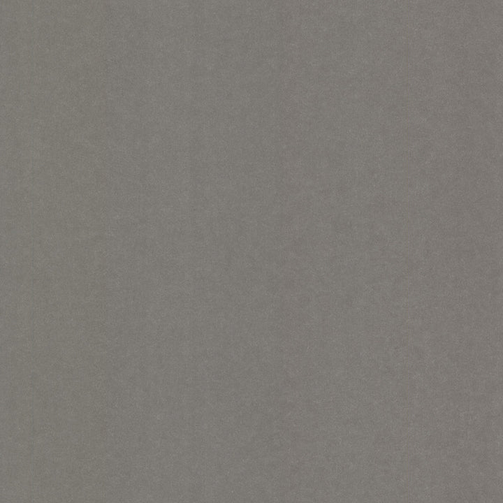 Grafito Charcoal Texture Wallpaper by Eijffinger Raval Covers about 56.4 square feet 20.5-in by 33-ft long roll Unpasted 0 - Fabric Carolina -
