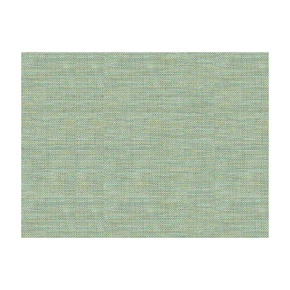 Sequoia Spa by Kravet Design Fabric CANDICE OLSON COLLECTION POLYESTER - 63%;VISCOSE - 35%;POLYAMIDE - 2% China HEAVY Horizontal: 0 and Vertical: 0 55 - Fabric Carolina -