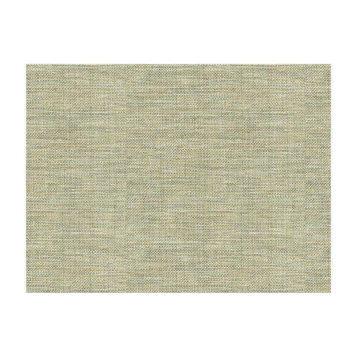 Sequoia Shale by Kravet Design Fabric CANDICE OLSON COLLECTION POLYESTER - 63%;VISCOSE - 35%;POLYAMIDE - 2% China HEAVY Horizontal: 0 and Vertical: 0 55 - Fabric Carolina -