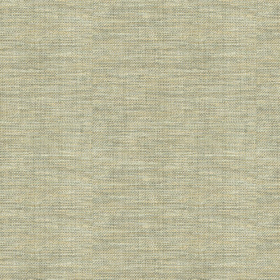 Sequoia Shale by Kravet Design Fabric