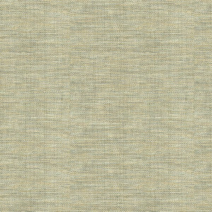 Sequoia Shale by Kravet Design Fabric