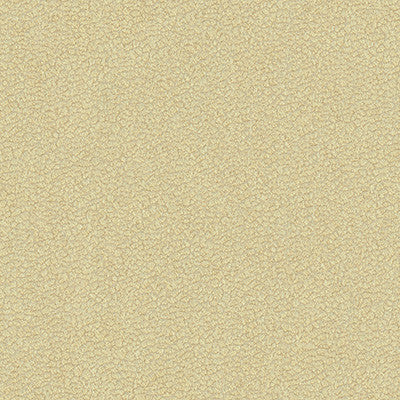 Jatoba Oyster by Kravet Design Fabric