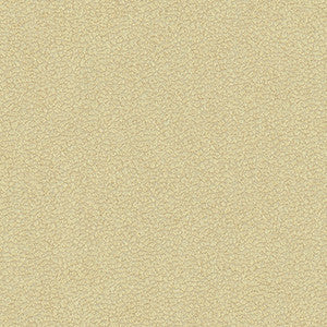 Jatoba Oyster by Kravet Design Fabric