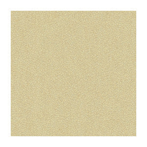 Jatoba Oyster by Kravet Design Fabric