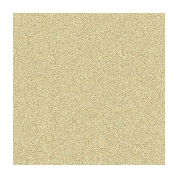 Jatoba Oyster by Kravet Design Fabric CANDICE OLSON COLLECTION POLYESTER - 100% India HEAVY Horizontal: 4.5 and Vertical: 2.5 54 - Fabric Carolina -